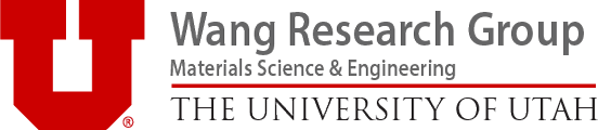 Wang Research Group Logo